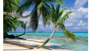 なんとなくでは終わらせない！！小論指導にも活かせる環境問題の原因と被害を復習①