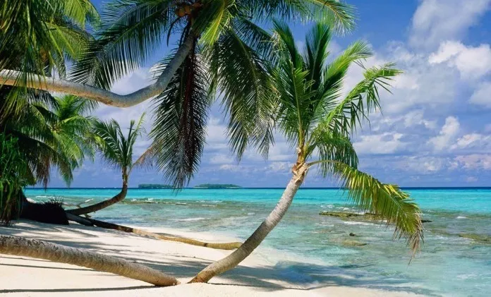 南国の海岸風景