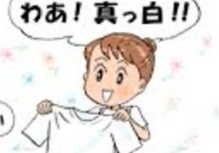 【理科講師対象】洗濯物の汚れはどうして落ちるの？～しっかりと生徒に教えられますか？【高校化学】