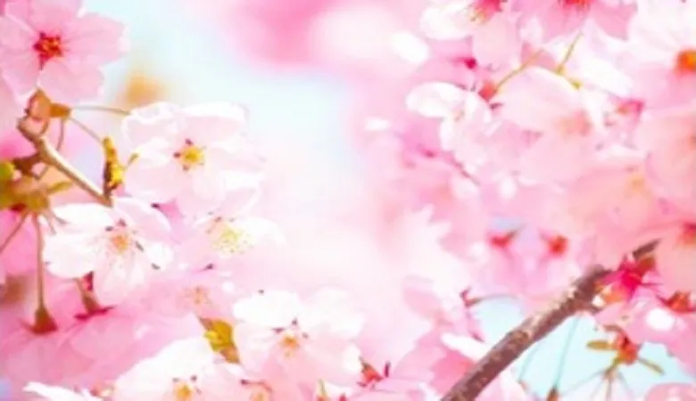 センター試験|数学1A 命題問題の解法①