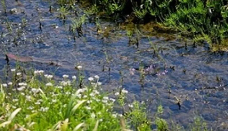 理科の最強指導法(6)　－地学編―　「流れる水のはたらきと川のでき方」