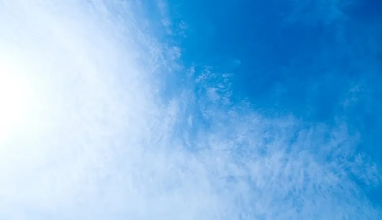 【さくっと確認！】教えるべき自動詞・他動詞の一覧！