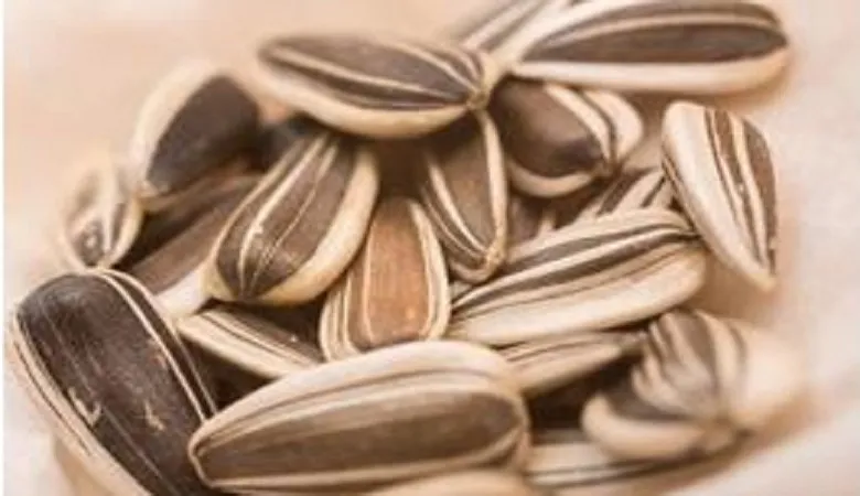 理科の最強指導法19 －植物編ー 「種子のつくり」