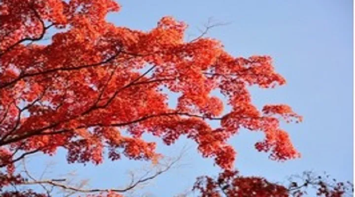 【塾講師対象】講師が生徒に育ててあげたい「好奇心」【ガチで教育を考える】