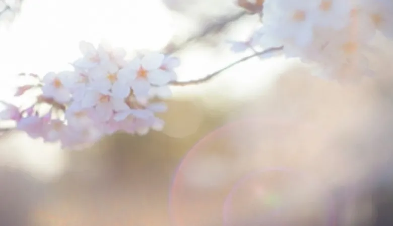 理科の最強指導法20 －植物編ー 「季節の特徴(春)」