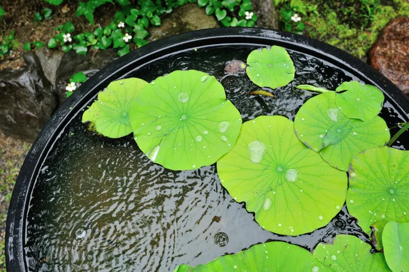 【必読】理科の最強指導法2　―地学編A―　「湿度計算」