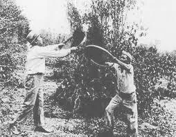 移民問題を考える①【今と世界史をつなげる】