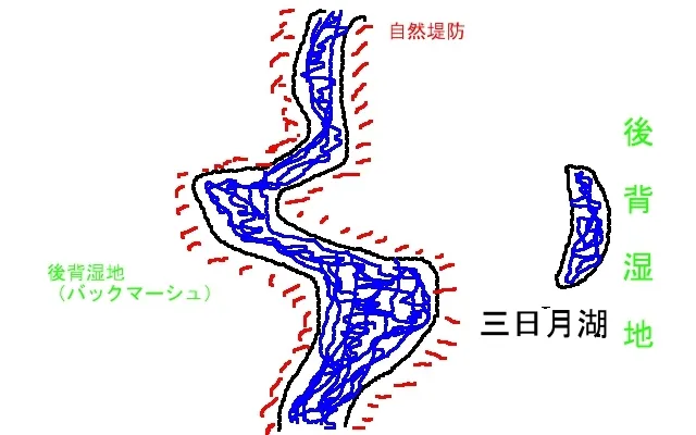 自然堤防、後背湿地、三日月湖について