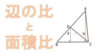 辺の比と面積比の教え方をパターンごとに解説！