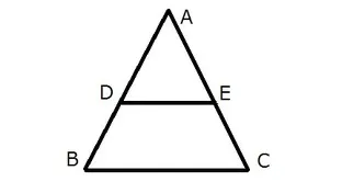 相似の基本的な形