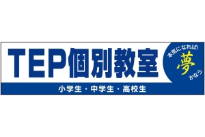 ロゴ画像 TEP 豊橋駅前個別教室