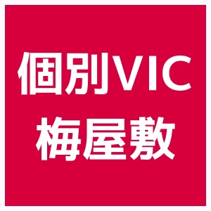 ロゴ画像 個別指導VIC 梅屋敷校