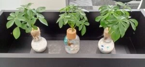 その他画像（４） 清水学習院