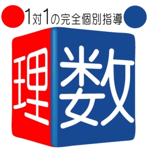 ロゴ画像 理数個別指導学院 市が尾校