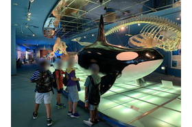 スライドイメージ（３） Chicora学園