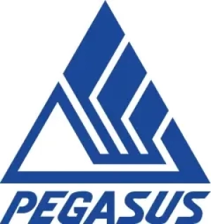 ロゴ画像 学習塾ペガサス　西大宮駅前教室